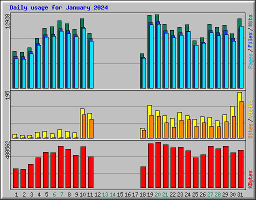 Daily usage for January 2024