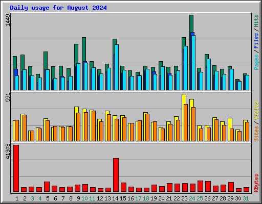 Daily usage for August 2024