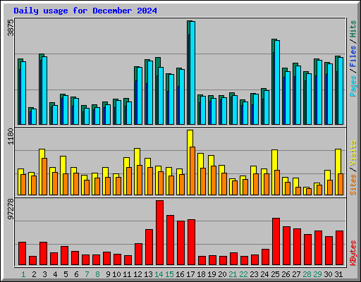 Daily usage for December 2024