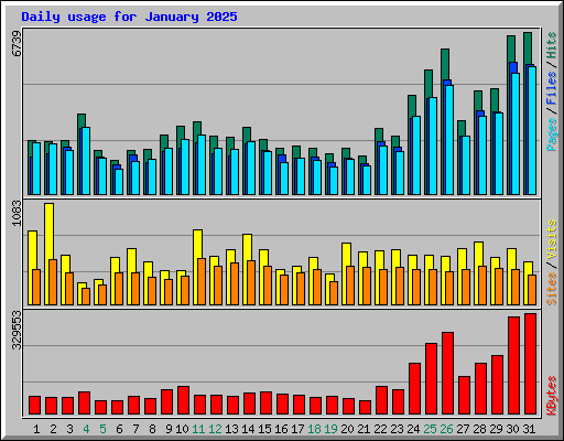 Daily usage for January 2025