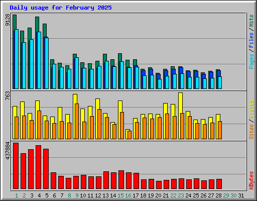 Daily usage for February 2025
