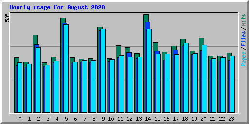 Hourly usage for August 2020