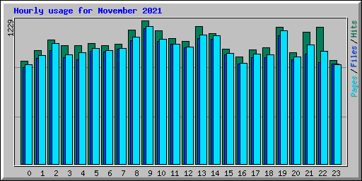 Hourly usage for November 2021