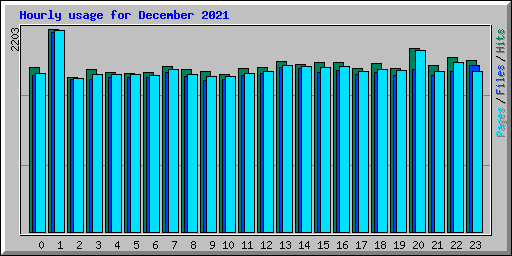 Hourly usage for December 2021