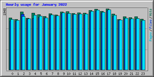 Hourly usage for January 2022