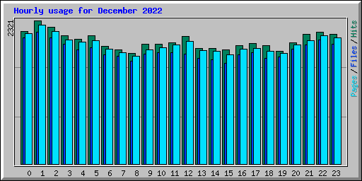 Hourly usage for December 2022