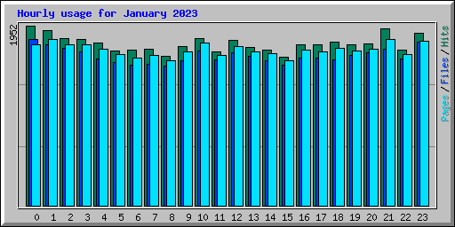 Hourly usage for January 2023