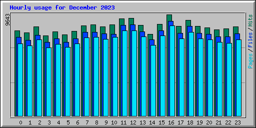 Hourly usage for December 2023