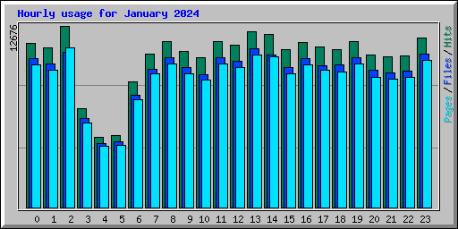 Hourly usage for January 2024