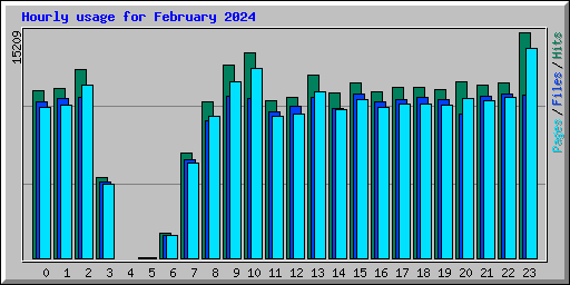 Hourly usage for February 2024