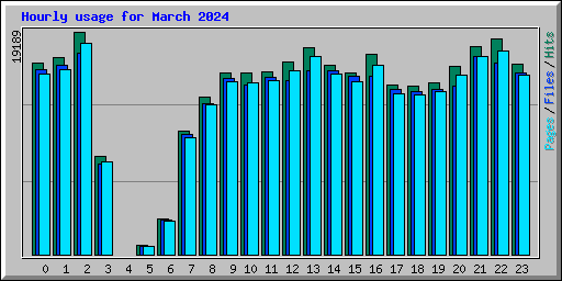 Hourly usage for March 2024