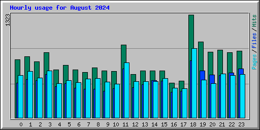 Hourly usage for August 2024
