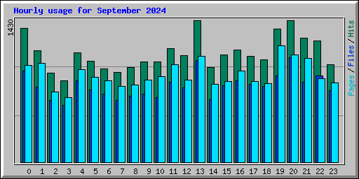 Hourly usage for September 2024