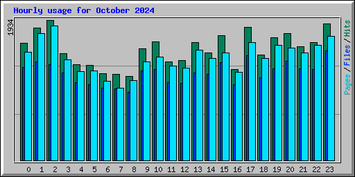 Hourly usage for October 2024