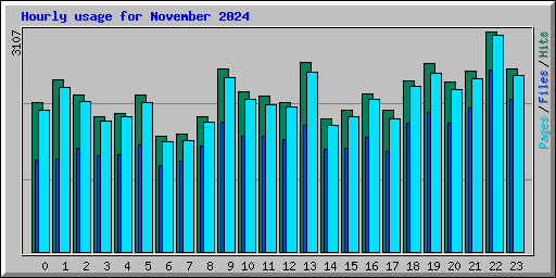 Hourly usage for November 2024