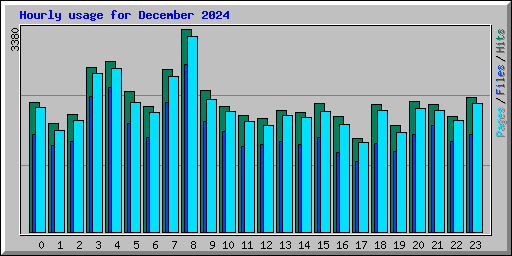 Hourly usage for December 2024