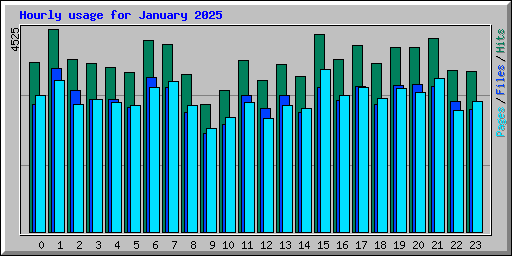 Hourly usage for January 2025