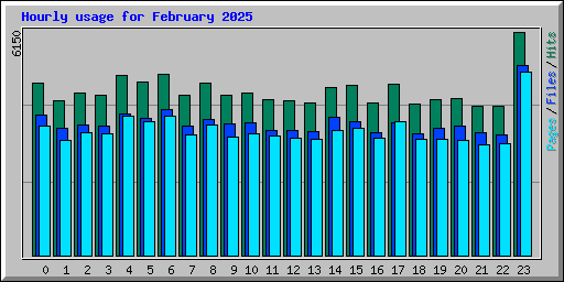 Hourly usage for February 2025