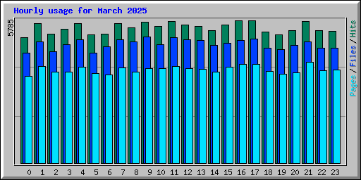 Hourly usage for March 2025