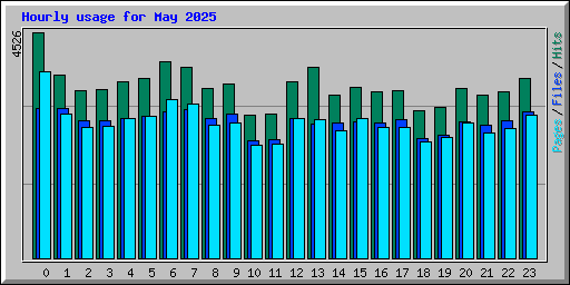 Hourly usage for May 2025