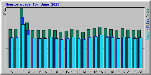 Hourly usage for June 2025