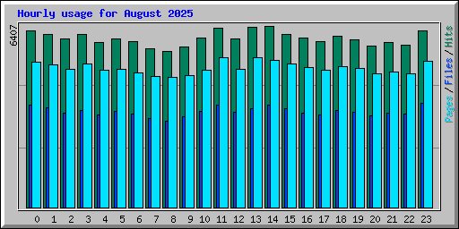Hourly usage for August 2025