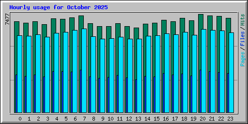 Hourly usage for October 2025