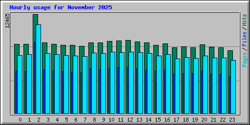 Hourly usage for November 2025