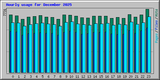 Hourly usage for December 2025