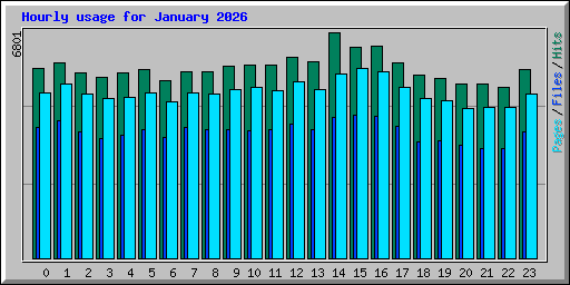 Hourly usage for January 2026