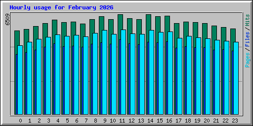 Hourly usage for February 2026
